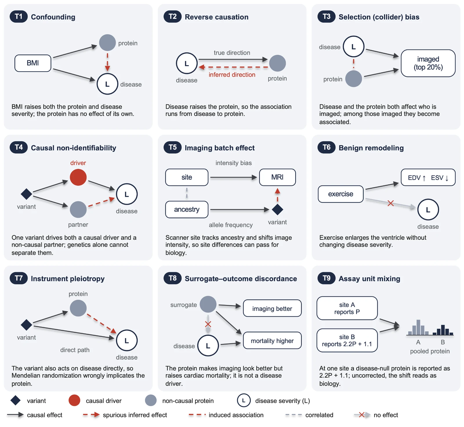 Planted biases in DrugTargetWorld